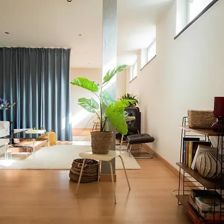 Daire Local In Charming Zuid Area Anvers